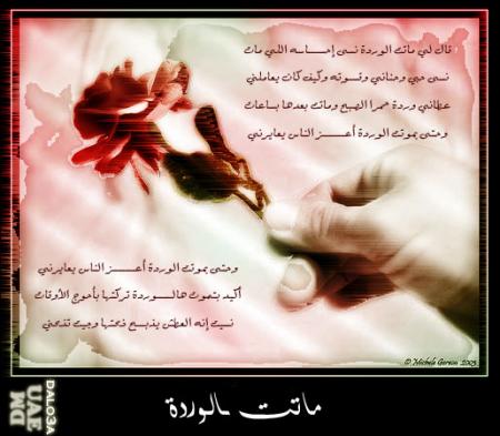 lwarda